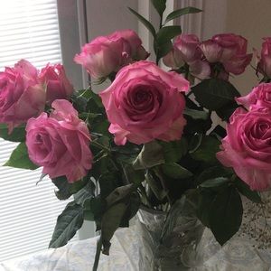 Meet your Posher, Tali